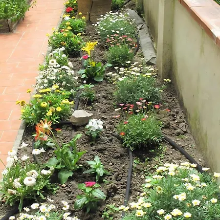 Le Petit Jardin Center * Florenz