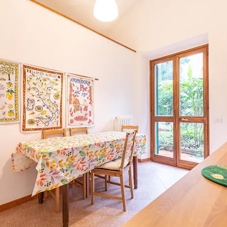 Le Petit Jardin Center アパート *